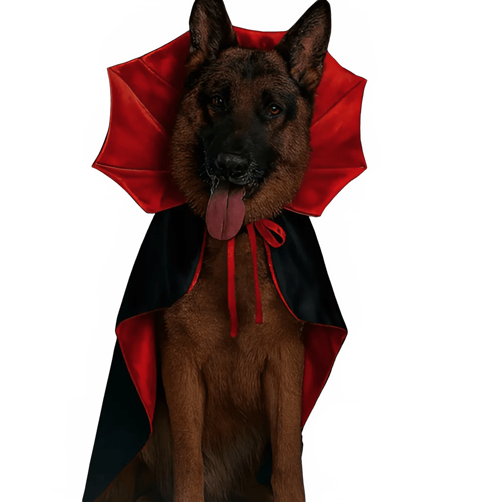 Vampire Bat Wings Pet Halloween Costume - PetLiveliest - PetLiveliest