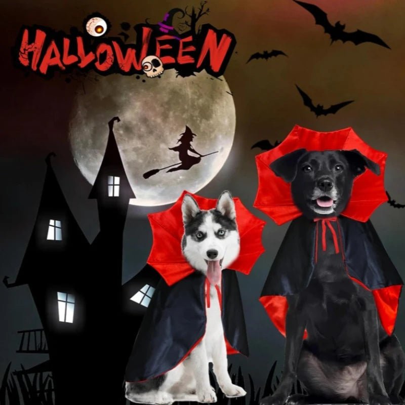 Vampire Bat Wings Pet Halloween Costume - PetLiveliest - PetLiveliest