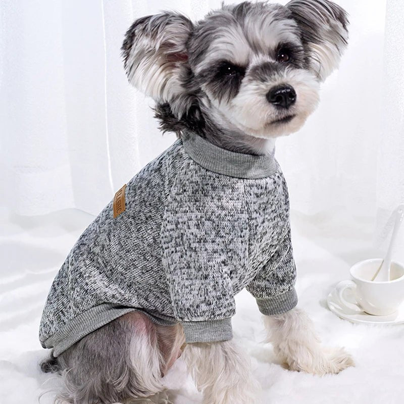 Warm Winter Hoodie for Small Dogs &amp; Cats - PetLiveliest - PetLiveliest