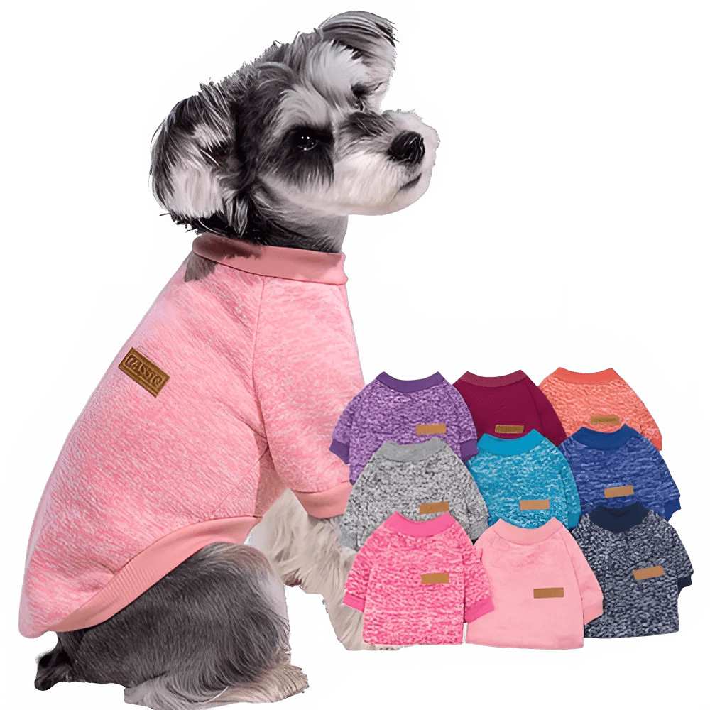 Warm Winter Hoodie for Small Dogs &amp; Cats - PetLiveliest - PetLiveliest