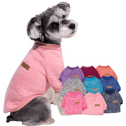 Warm Winter Hoodie for Small Dogs &amp; Cats - PetLiveliest - PetLiveliest