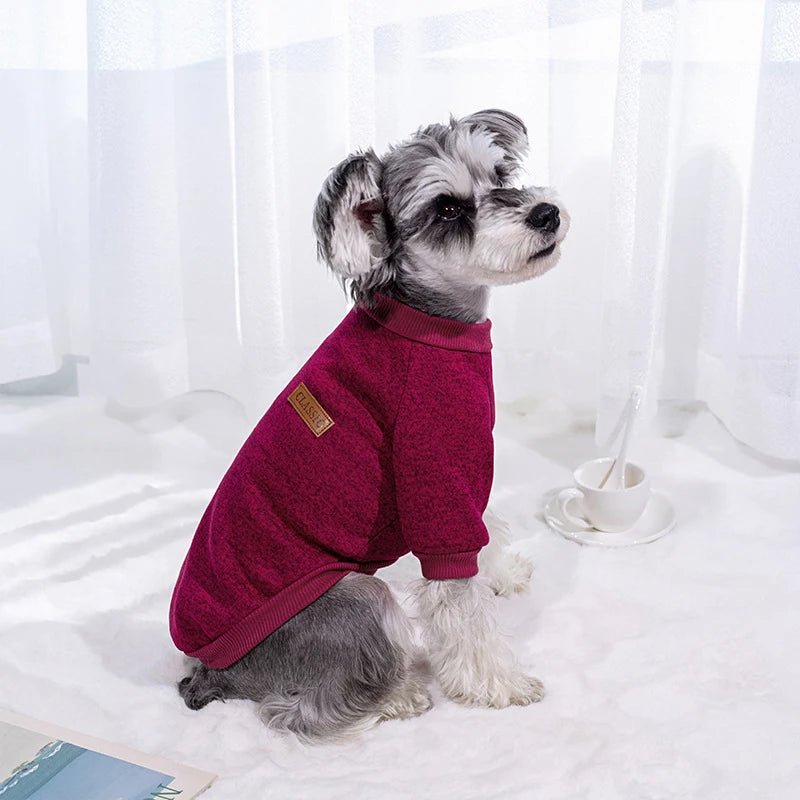 Warm Winter Hoodie for Small Dogs &amp; Cats - PetLiveliest - PetLiveliest