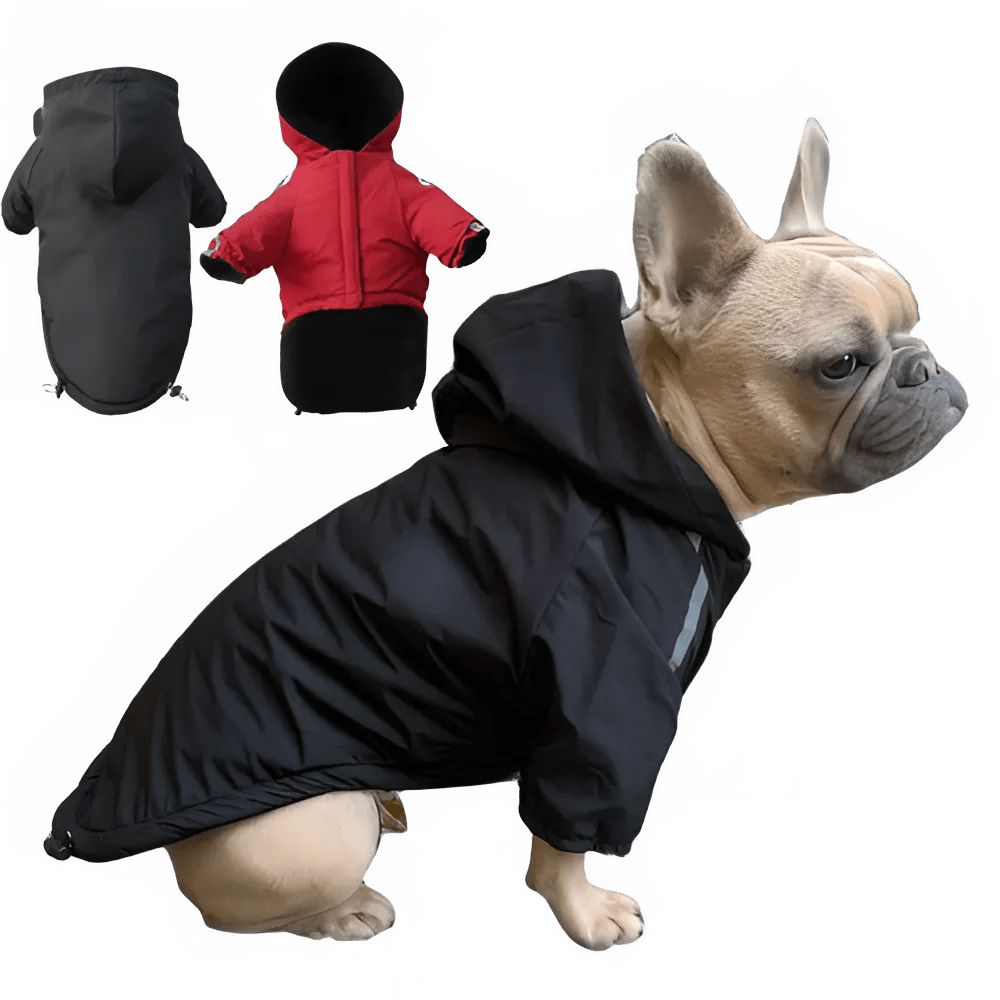 Waterproof Winter Dog Coat with Hood - PetLiveliest - PetLiveliest