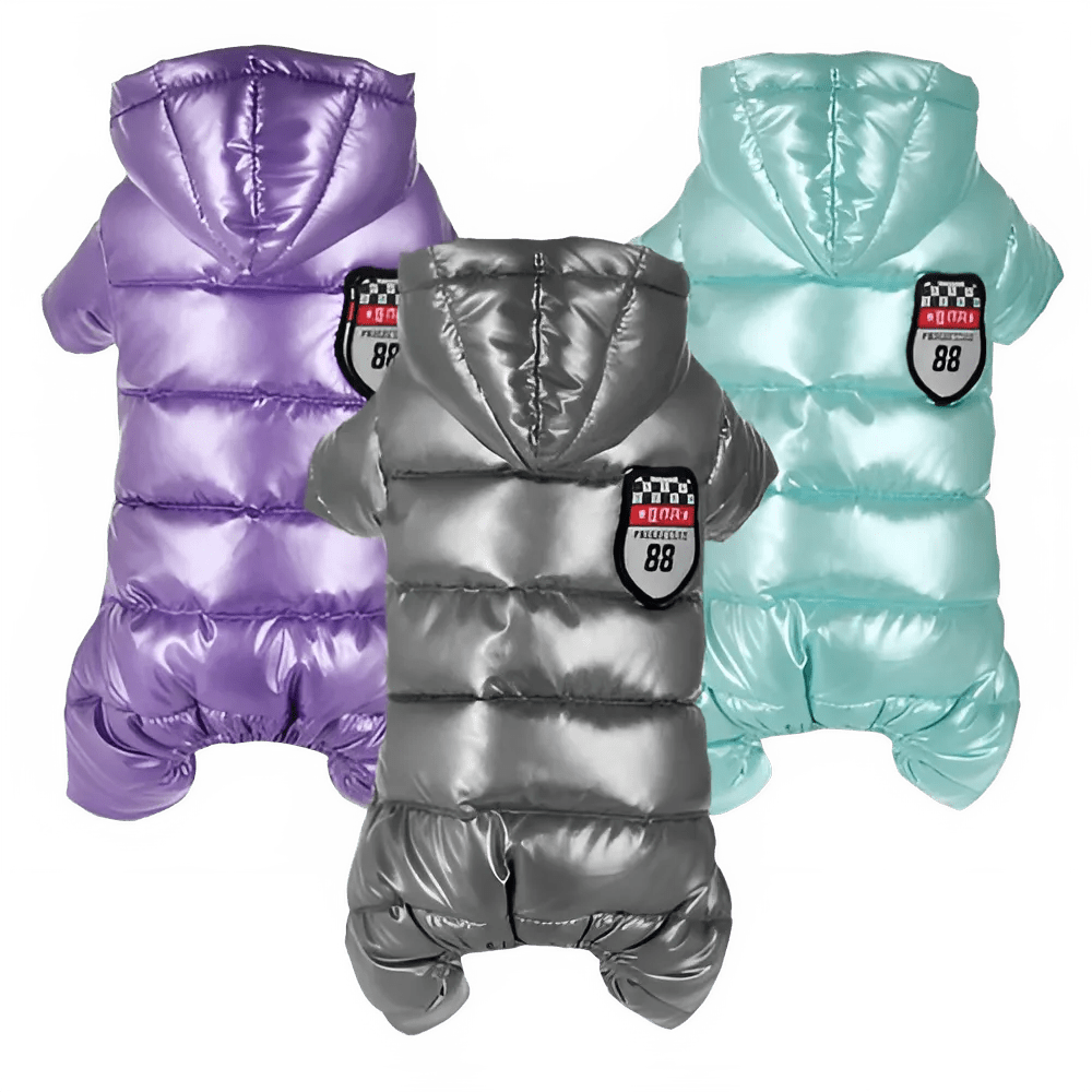 Winter Dog Jacket for Small Breeds - PetLiveliest - PetLiveliest