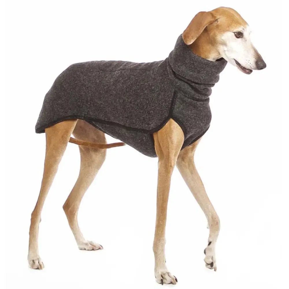 Winter High Collar Jumper Sweater - PetLiveliest - PetLiveliest