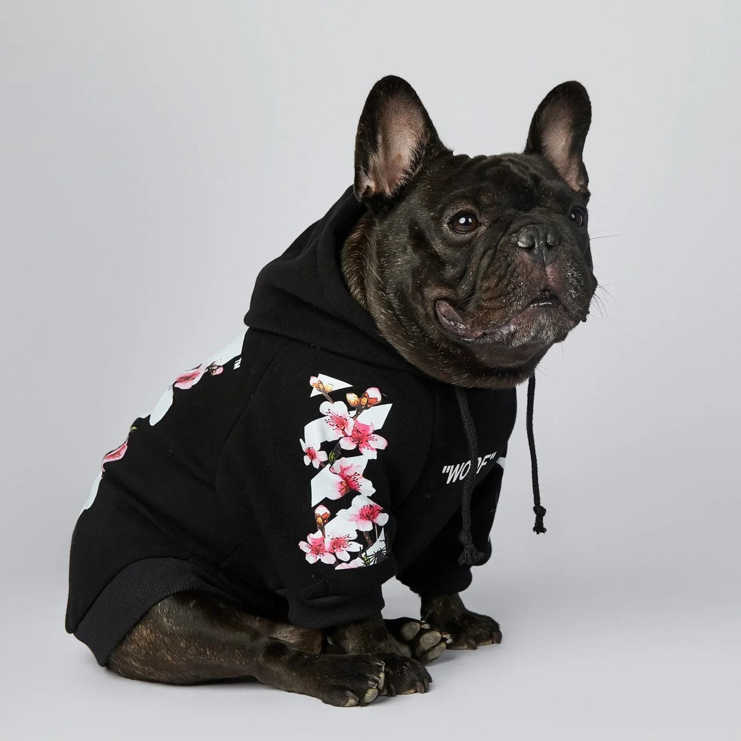 Winter Sakura Dog Hoodie - PetLiveliest - PetLiveliest