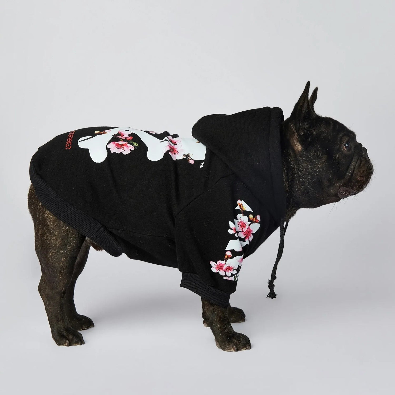 Winter Sakura Dog Hoodie - PetLiveliest - PetLiveliest